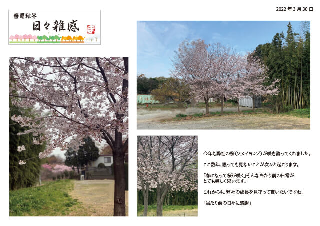 20220330news日々雑感.jpg